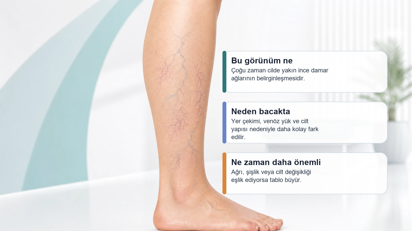 Bacakta Mor Damarlar Ne Anlama Gelir? Kılcal Varis mi, Venöz Yetmezlik mi? için bacakta ince mor-kirmizi damar aglarinin neden daha gorunur hale geldigini açıklayan premium medikal görsel