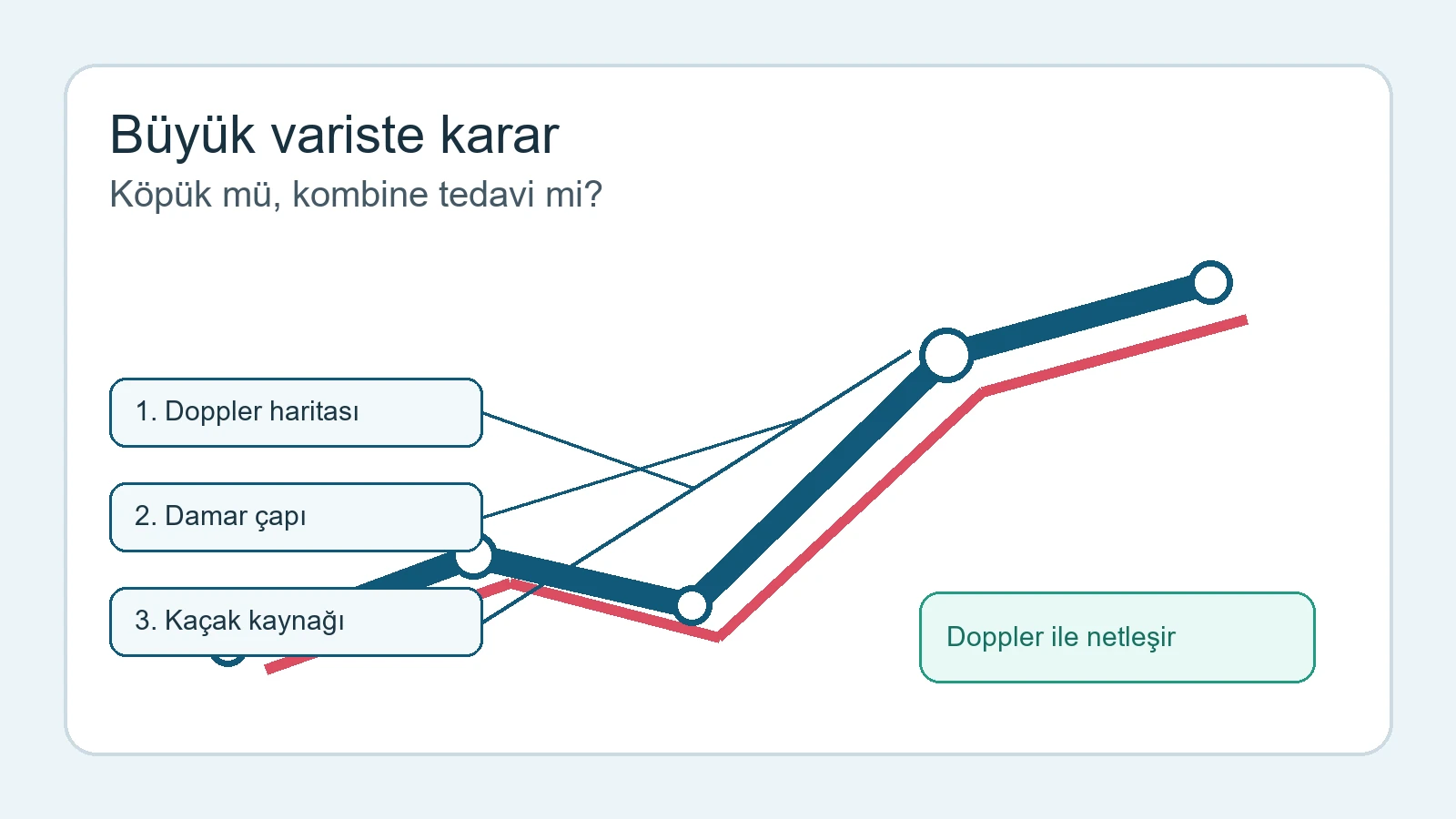 Büyük Varislerde Köpük Tedavisi Yeterli Olur mu? konusunda büyük variste karar anlatan Türkçe etiketli medikal görsel.