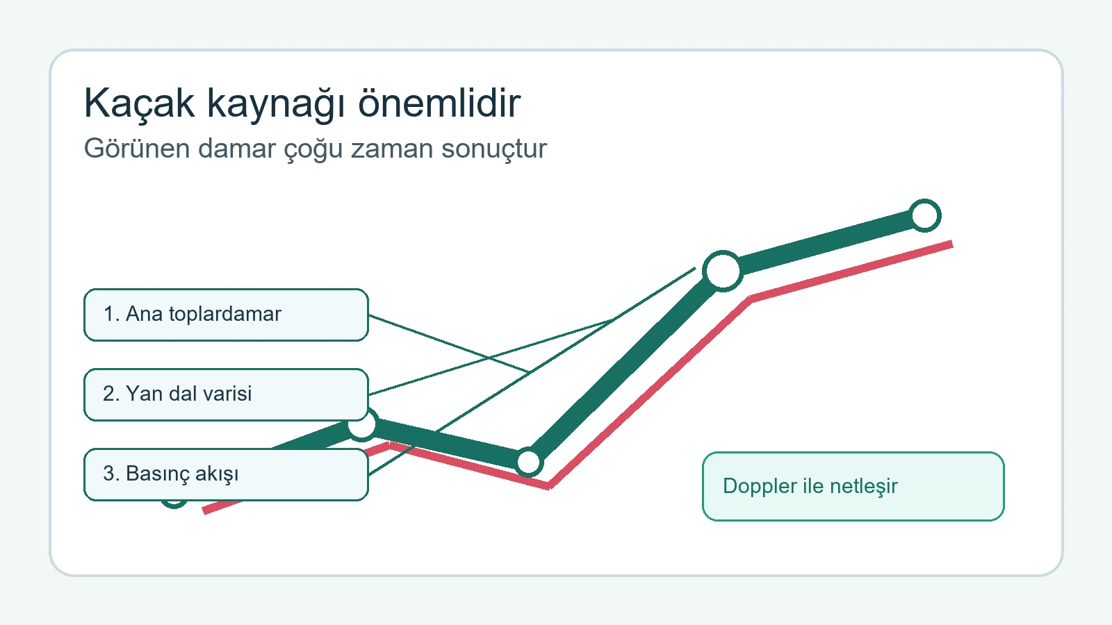 Büyük Varislerde Köpük Tedavisi Yeterli Olur mu? konusunda kaçak kaynağı önemlidir anlatan Türkçe etiketli medikal görsel.