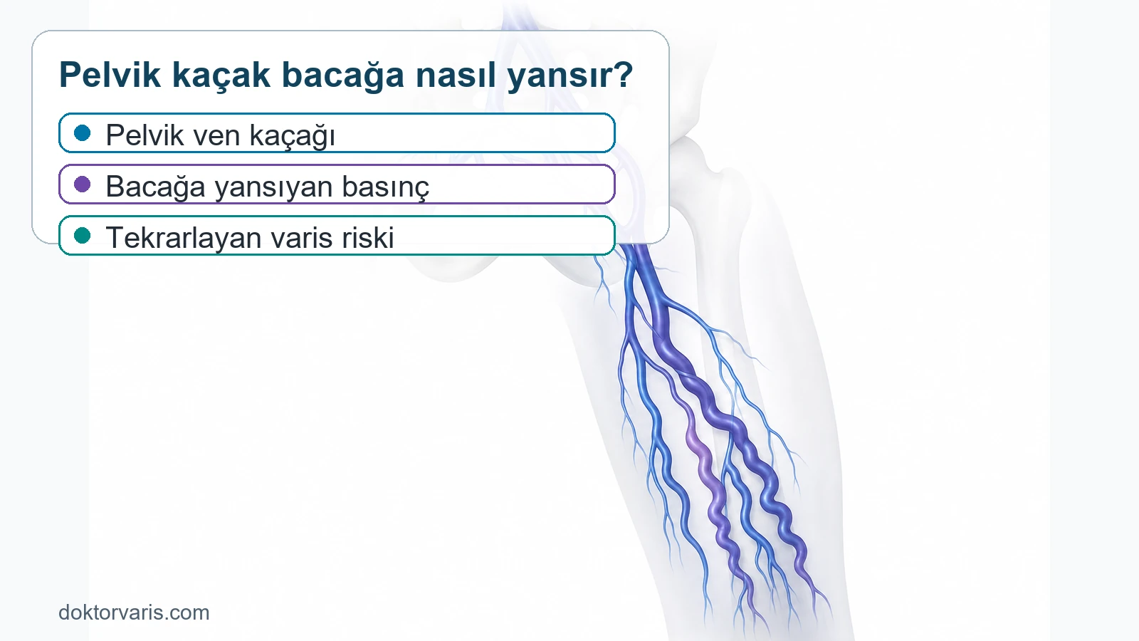 Pelvik ven ka?a??n?n bacak varislerine bas?n? aktar?m?n? g?steren ?ematik t?bbi g?rsel.