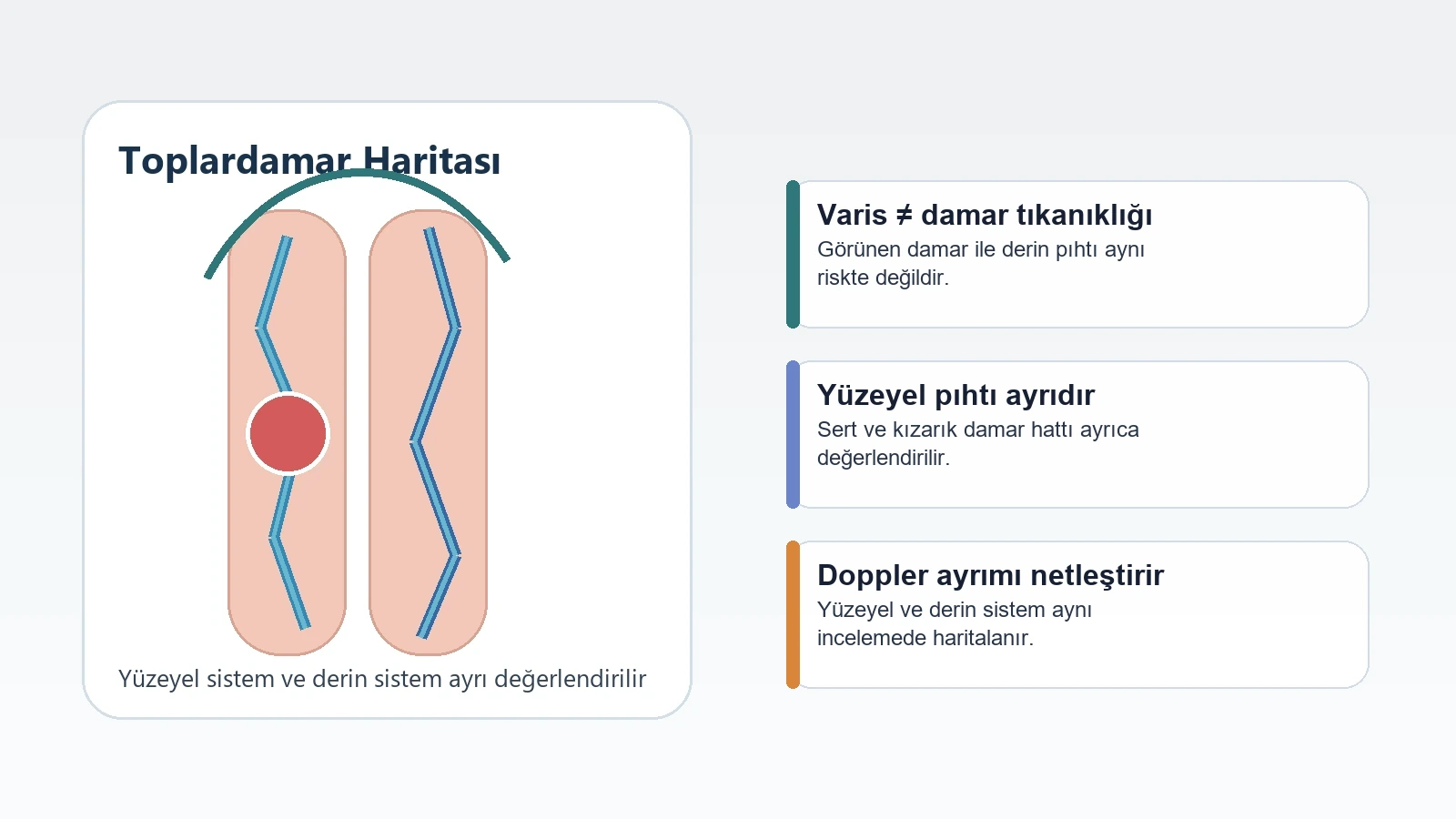 Varis, yüzeyel pıhtı ve damar tıkanıklığı ayrımını gösteren medikal görsel